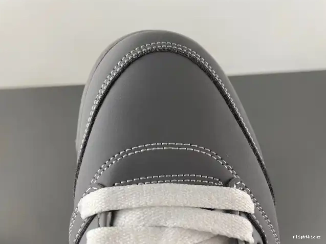 Grey Air Jordan Wolf Retro 136027-005 5 0516